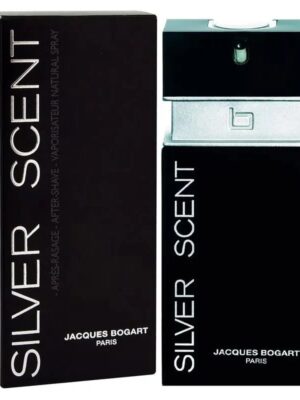 Silver Scent 100ml - Perfume Masculino - Eau De Toilette