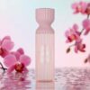 img_5280 Yara | Lattafa Perfume Mist (Body Splash)